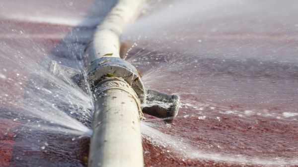 Burst Pipe Cleanup in Brentwood