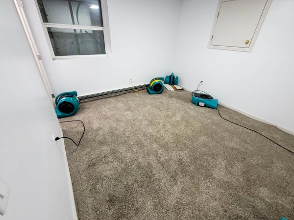 Flood Restoration Service in Brentwood