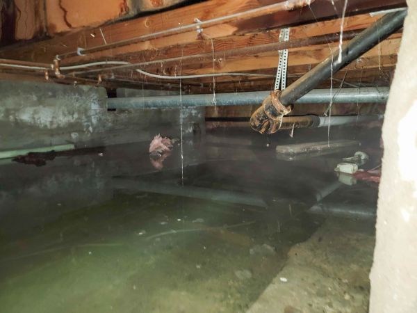 Crawlspace Water Restoration in Brentwood
